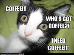 coffee whos got